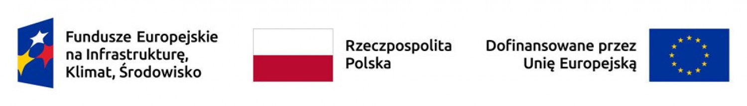 logotyp funduszy europejskich